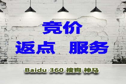 实战经验：竞价推广案例解析与优化策略分享